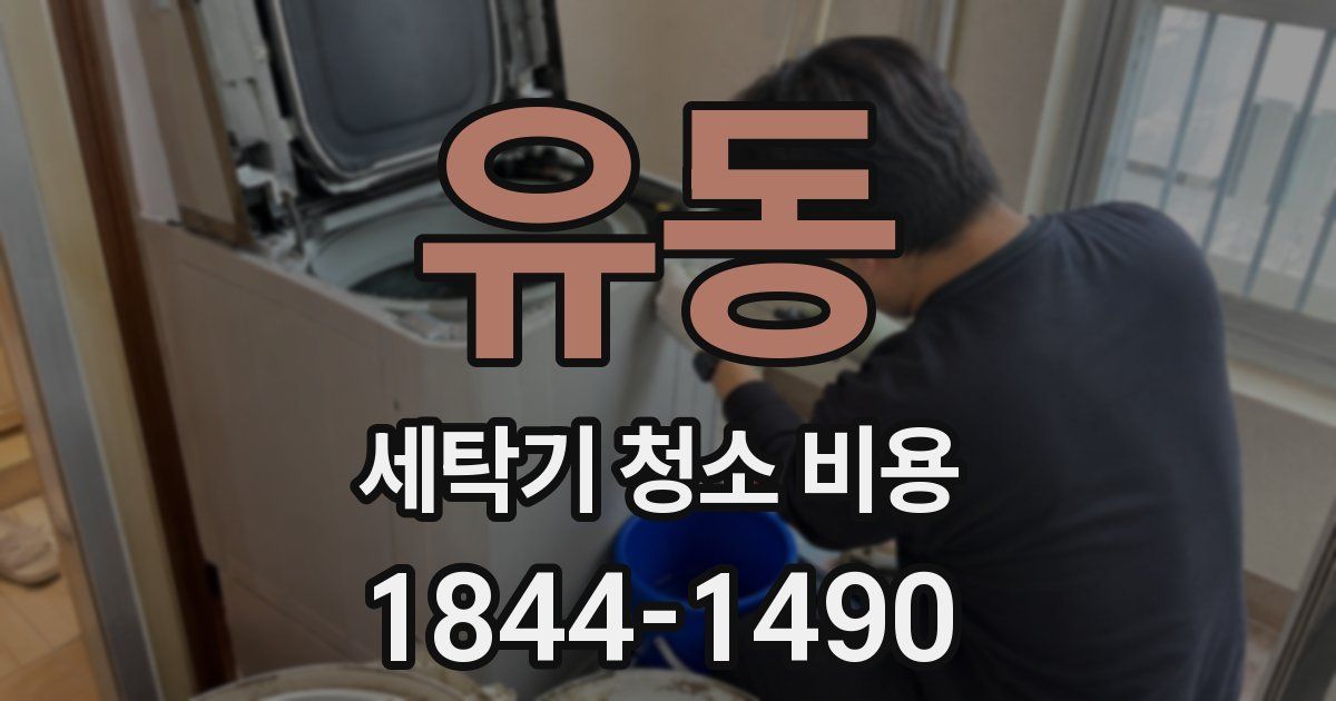 유동 세탁기 청소 비용