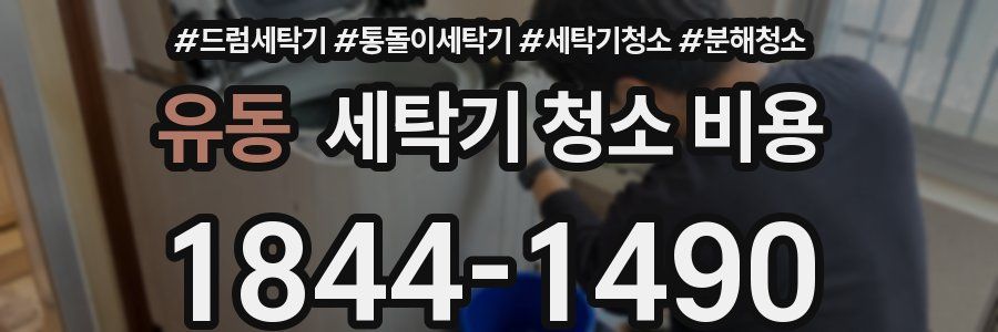 유동 세탁기 청소 비용