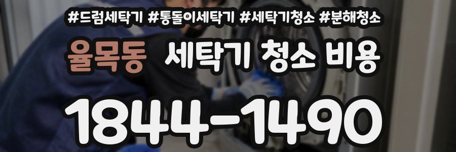 율목동 세탁기 청소 비용