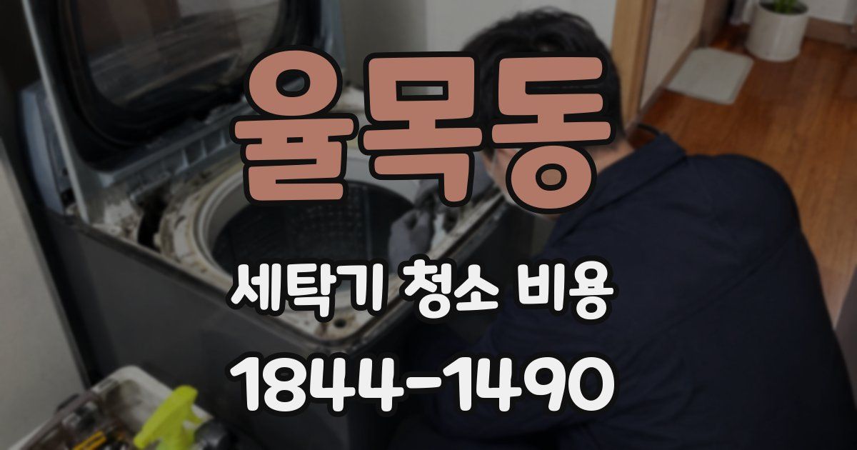 율목동 세탁기 청소 비용