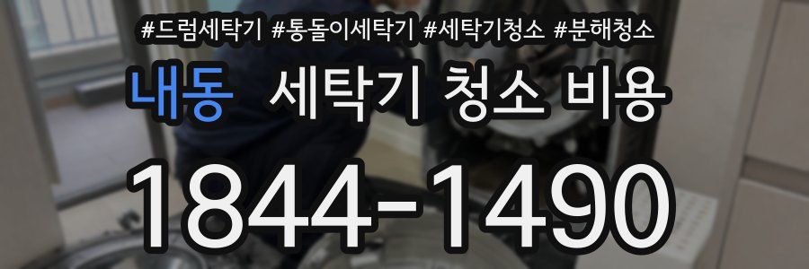 내동 세탁기 청소 비용
