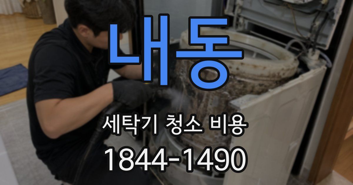 내동 세탁기 청소 비용