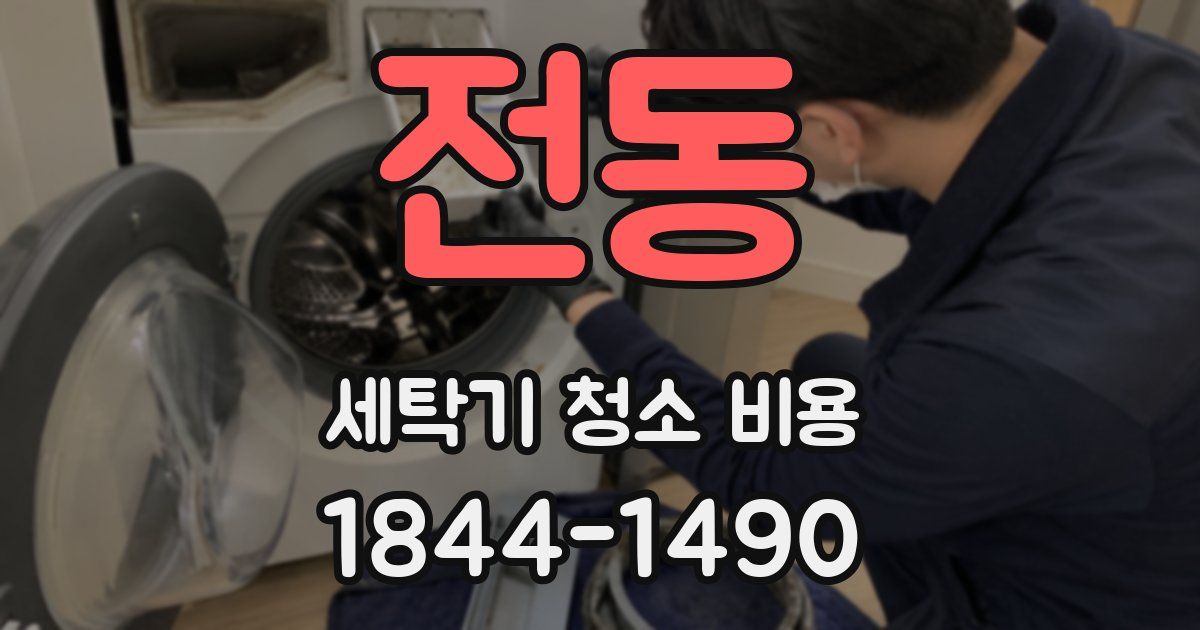 전동 세탁기 청소 비용