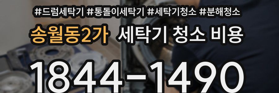 송월동2가 세탁기 청소 비용