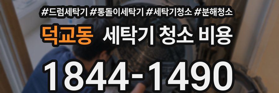 덕교동 세탁기 청소 비용