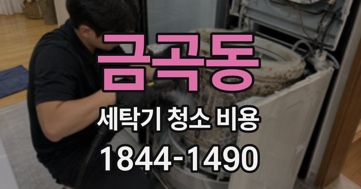 금곡동 세탁기 청소 비용