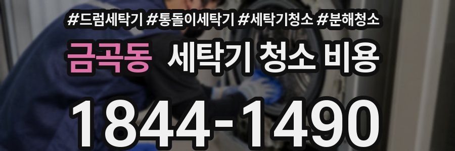 금곡동 세탁기 청소 비용