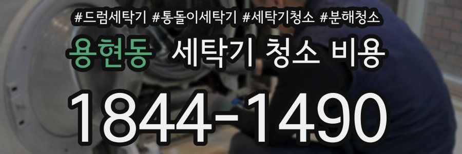 용현동 세탁기 청소 비용