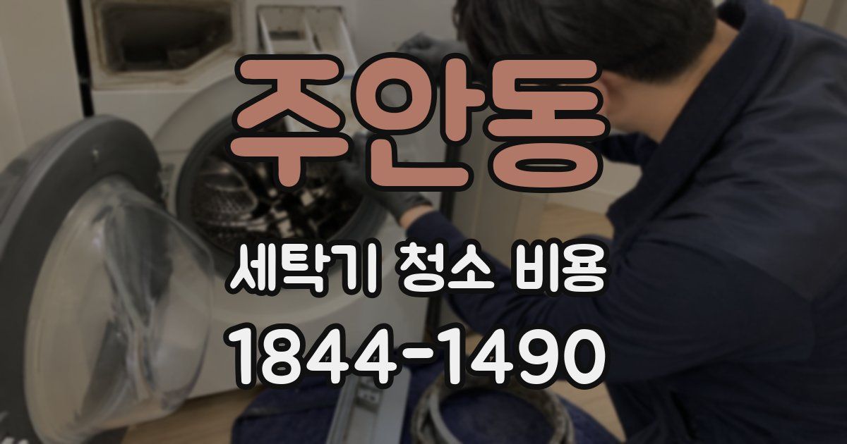 주안동 세탁기 청소 비용