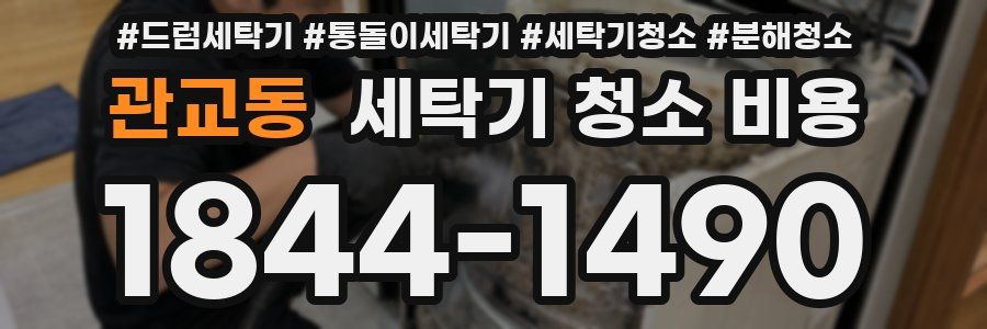 관교동 세탁기 청소 비용