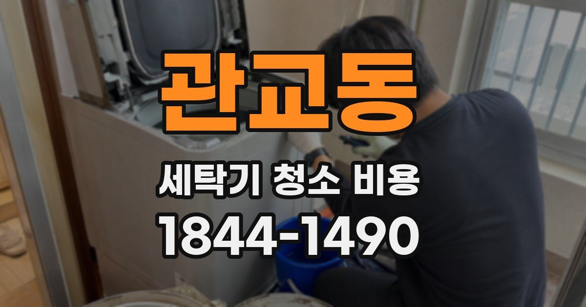 관교동 세탁기 청소 비용
