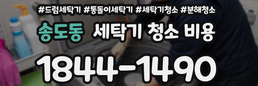 송도동 세탁기 청소 비용