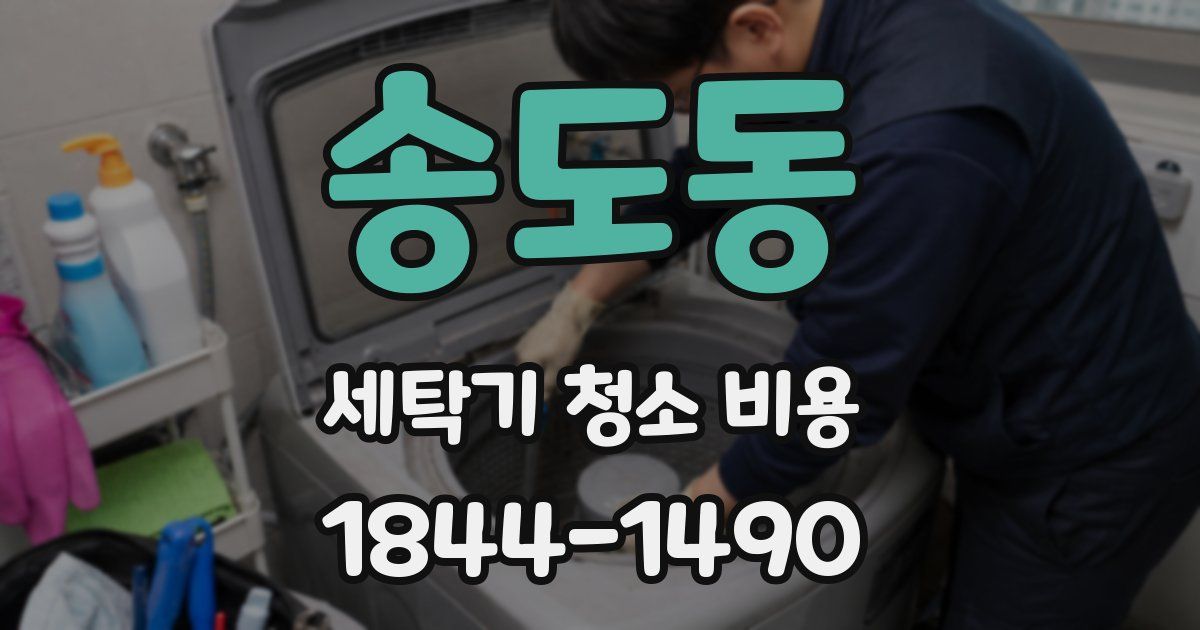 송도동 세탁기 청소 비용