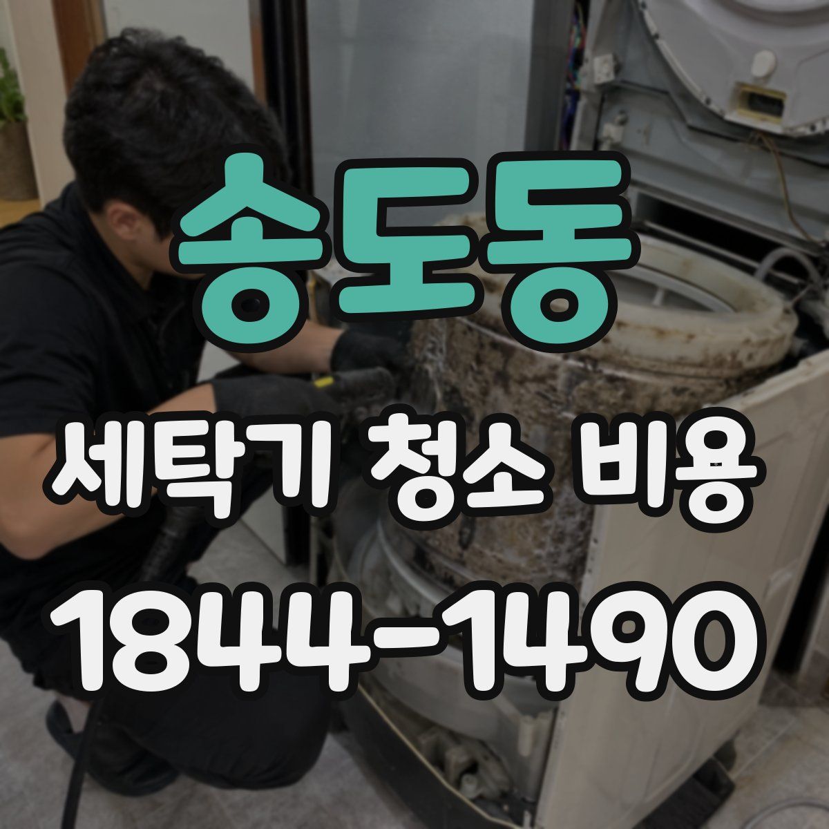 송도동 세탁기 청소 비용