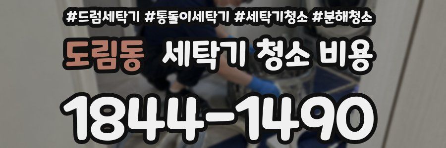 도림동 세탁기 청소 비용
