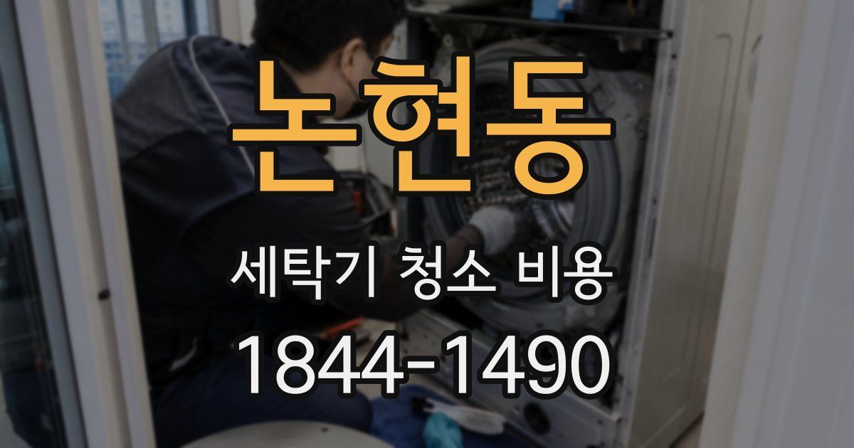 논현동 세탁기 청소 비용