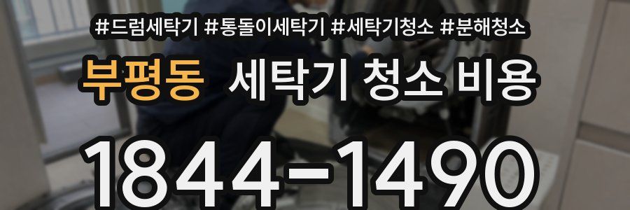 부평동 세탁기 청소 비용