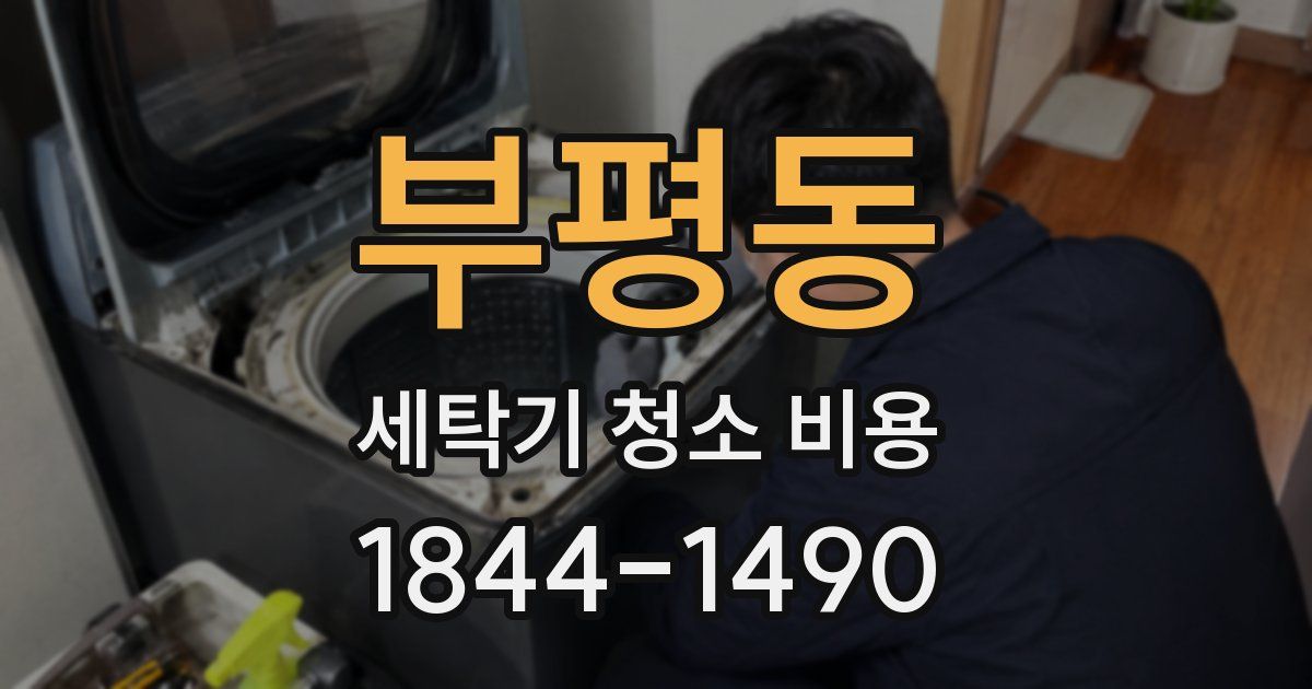 부평동 세탁기 청소 비용