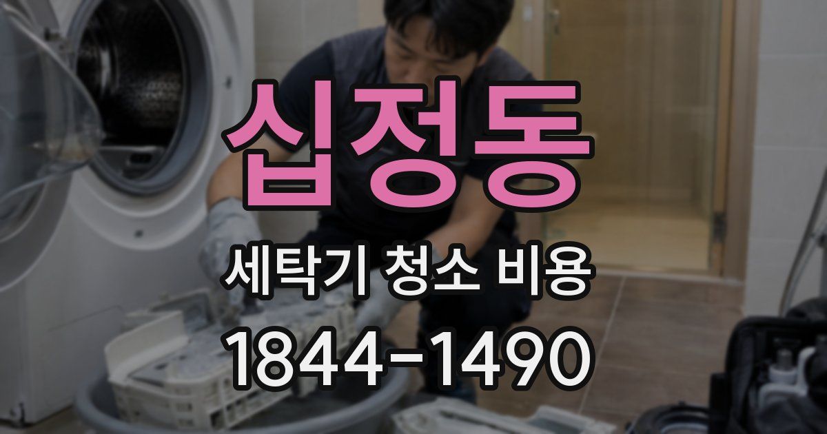 십정동 세탁기 청소 비용