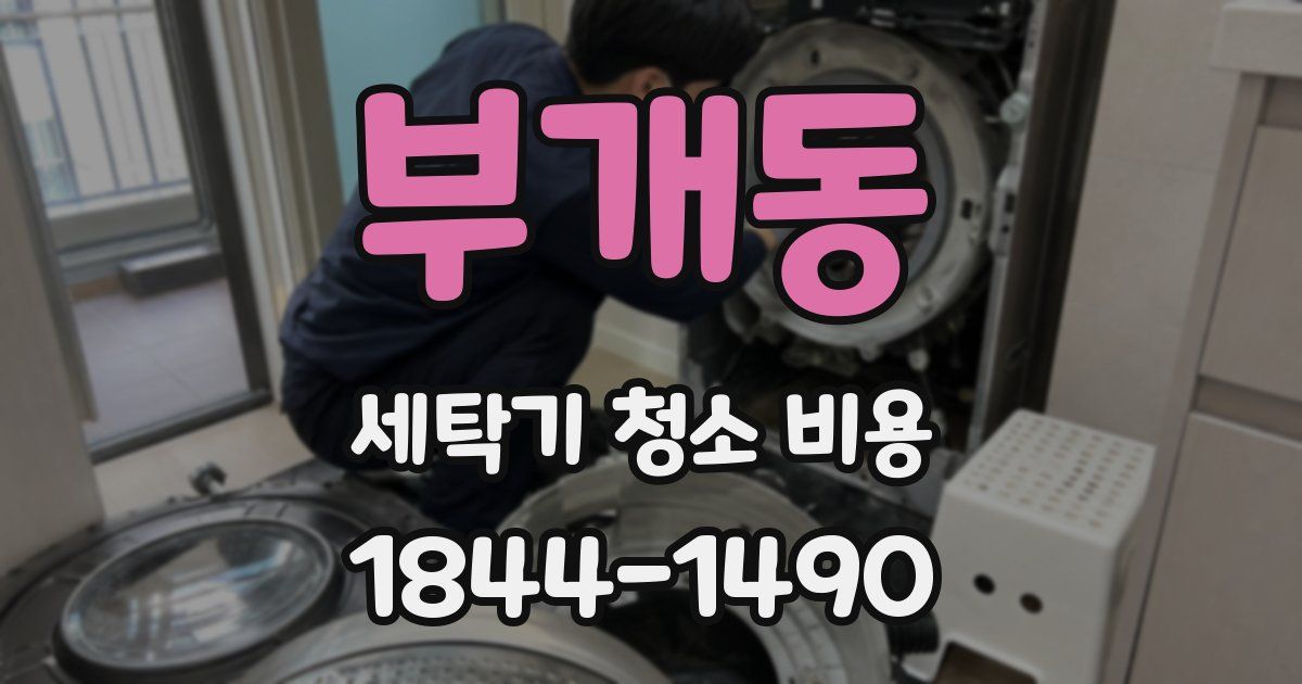 부개동 세탁기 청소 비용