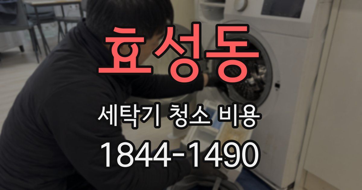 효성동 세탁기 청소 비용