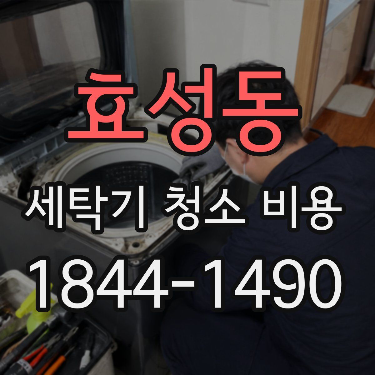 효성동 세탁기 청소 비용