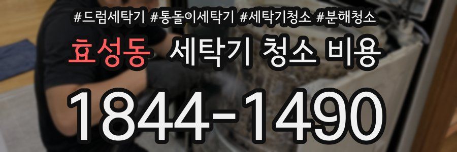 효성동 세탁기 청소 비용