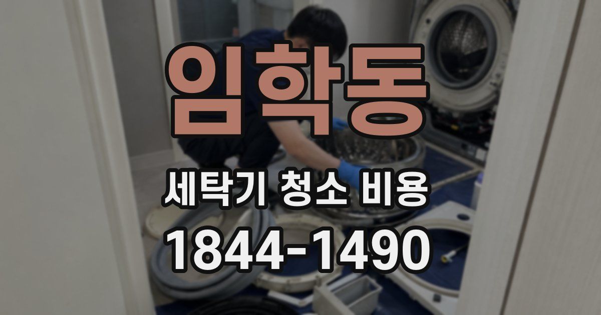 임학동 세탁기 청소 비용