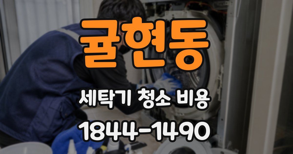 귤현동 세탁기 청소 비용