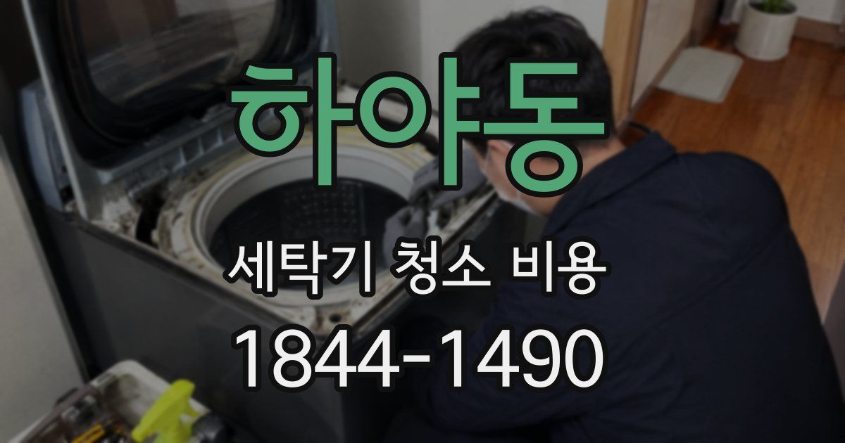 하야동 세탁기 청소 비용