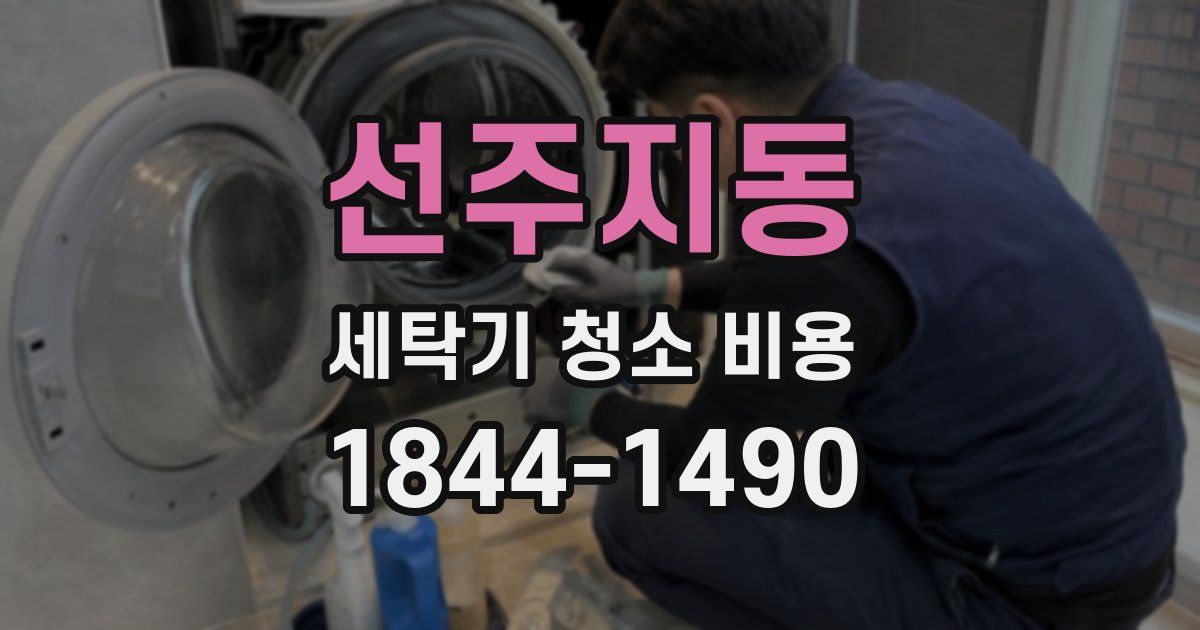 선주지동 세탁기 청소 비용
