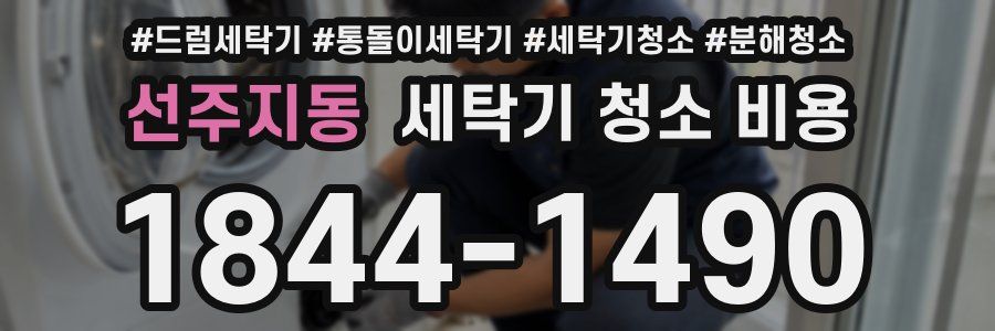 선주지동 세탁기 청소 비용