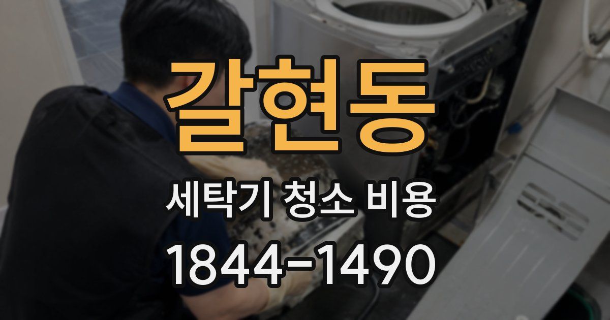 갈현동 세탁기 청소 비용