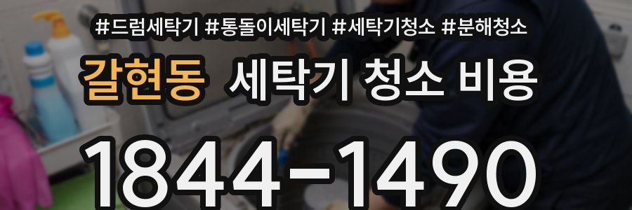 갈현동 세탁기 청소 비용