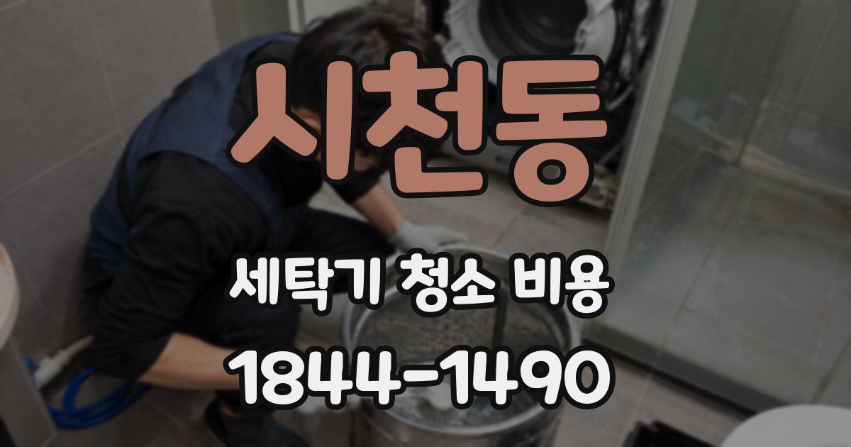 시천동 세탁기 청소 비용