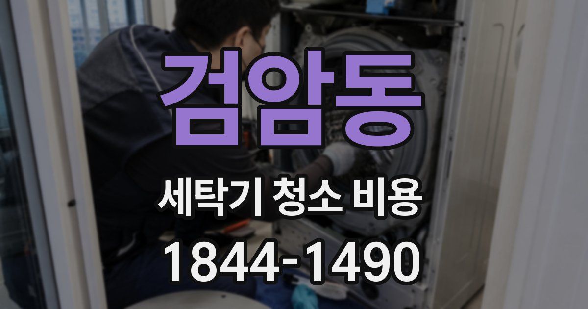 검암동 세탁기 청소 비용
