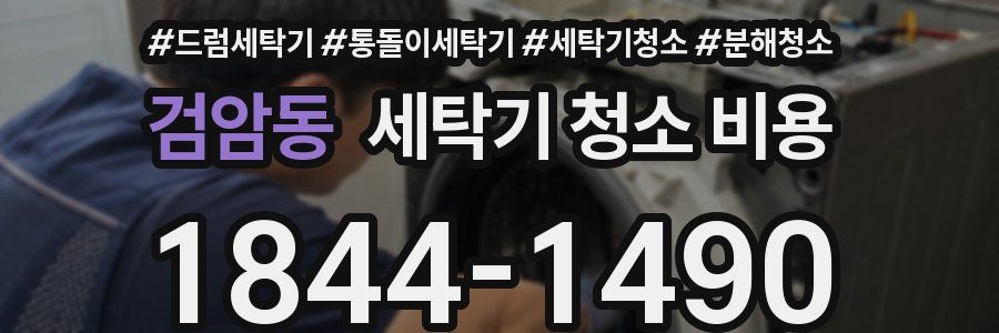 검암동 세탁기 청소 비용