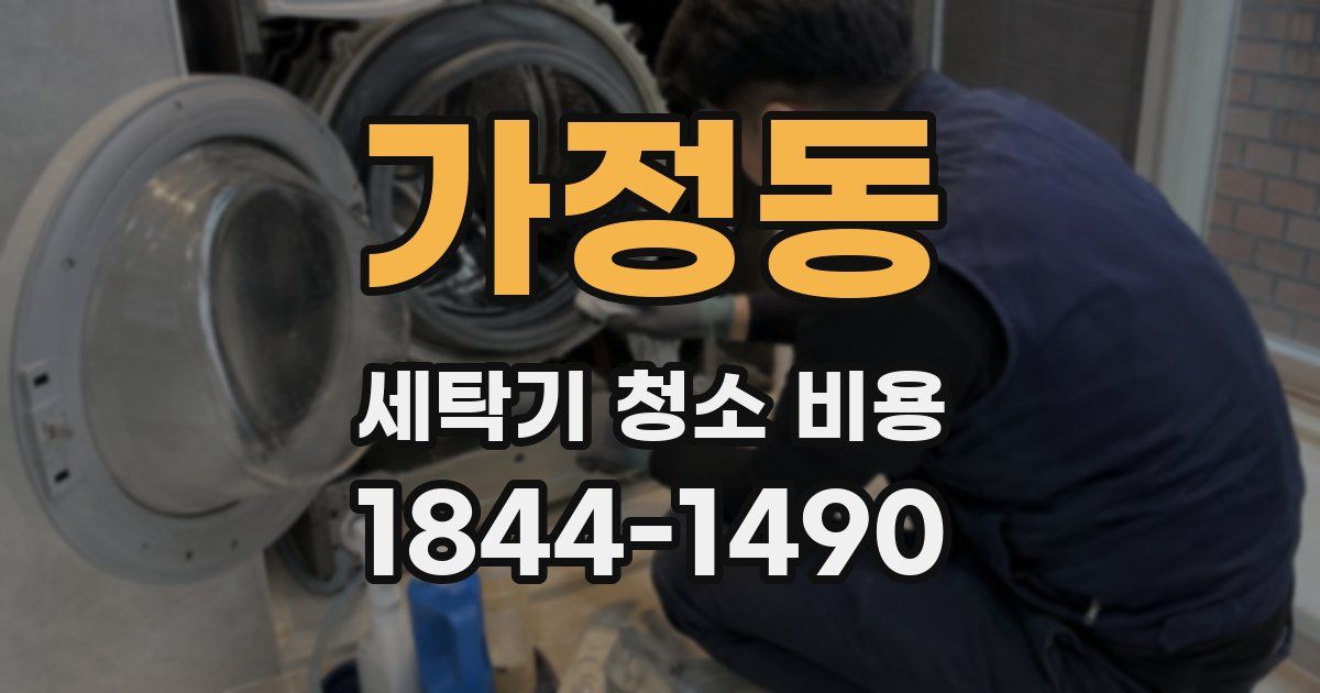 가정동 세탁기 청소 비용