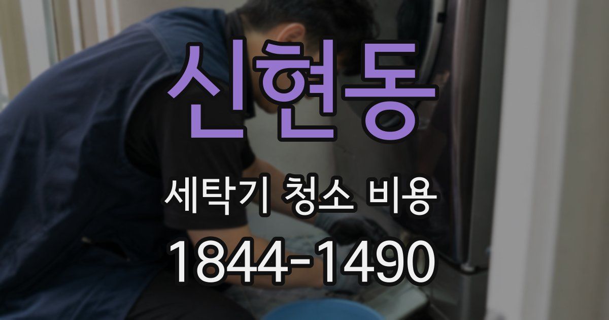 신현동 세탁기 청소 비용