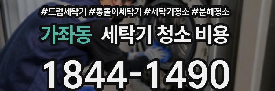 가좌동 세탁기 청소 비용