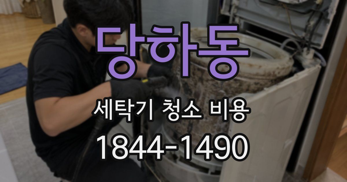 당하동 세탁기 청소 비용