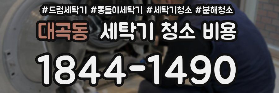 대곡동 세탁기 청소 비용