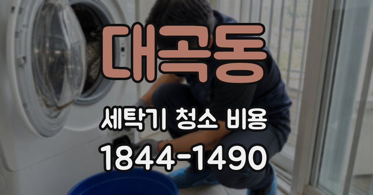 대곡동 세탁기 청소 비용