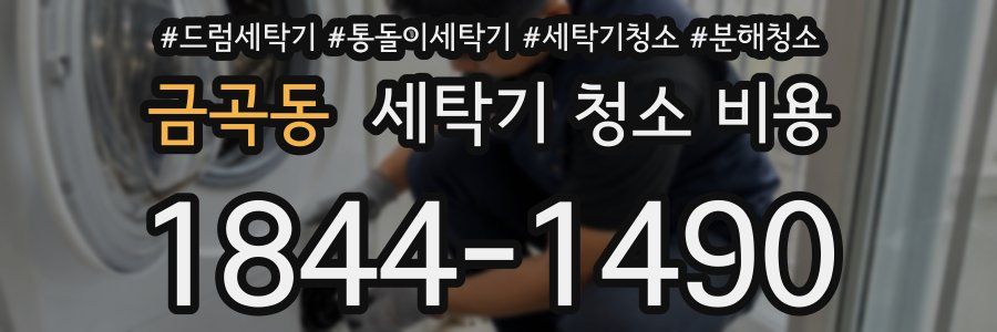 금곡동 세탁기 청소 비용
