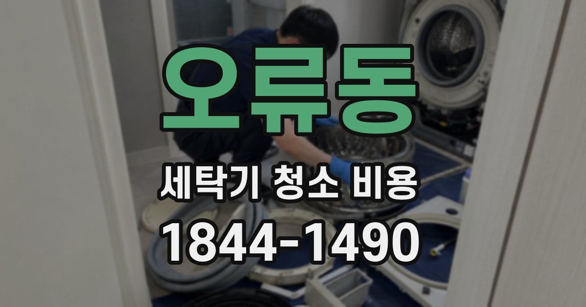 오류동 세탁기 청소 비용