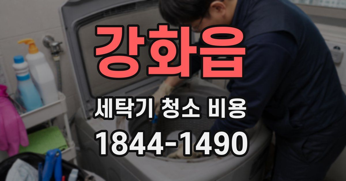 강화읍 세탁기 청소 비용