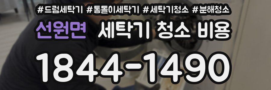 선원면 세탁기 청소 비용