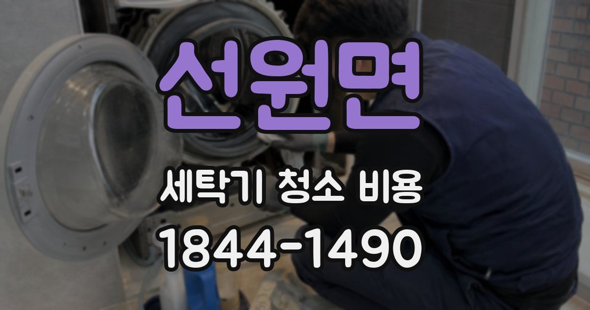 선원면 세탁기 청소 비용