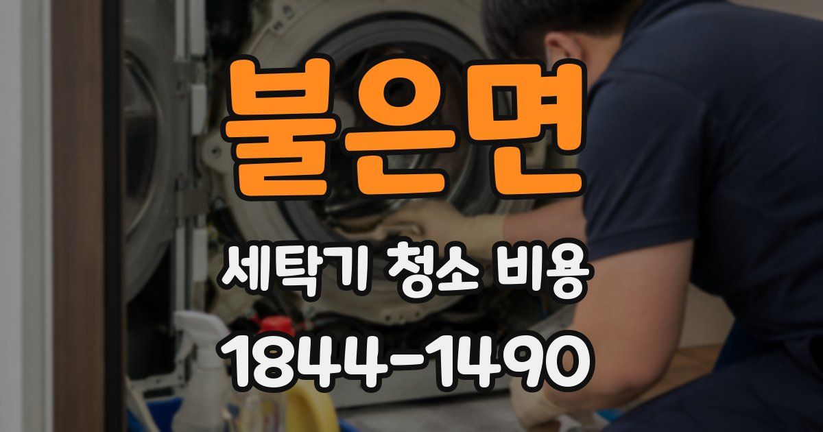 불은면 세탁기 청소 비용