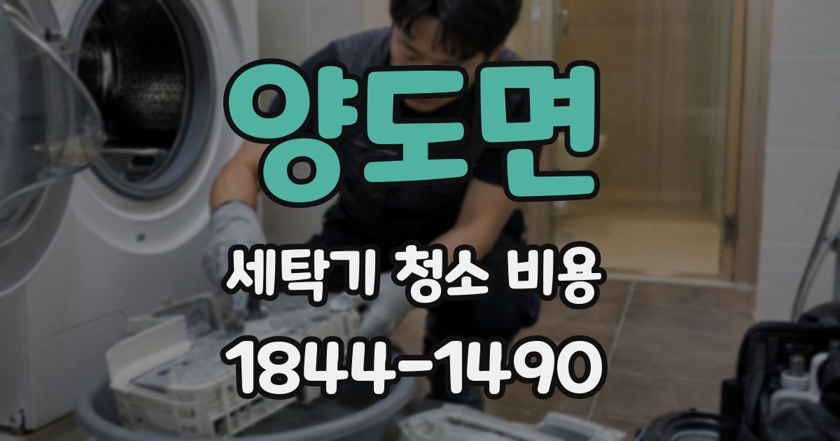 양도면 세탁기 청소 비용